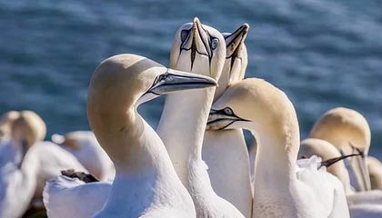 临沧最新的高价医保卡惠民保险代扣怎么取消掉了方法分享(临沧惠民医保怎么报销教程)