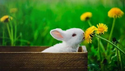 临沧最新的高价医保个人账户余额微信查询方法分享(临沧医保查询个人账户明细怎么查微信教程)